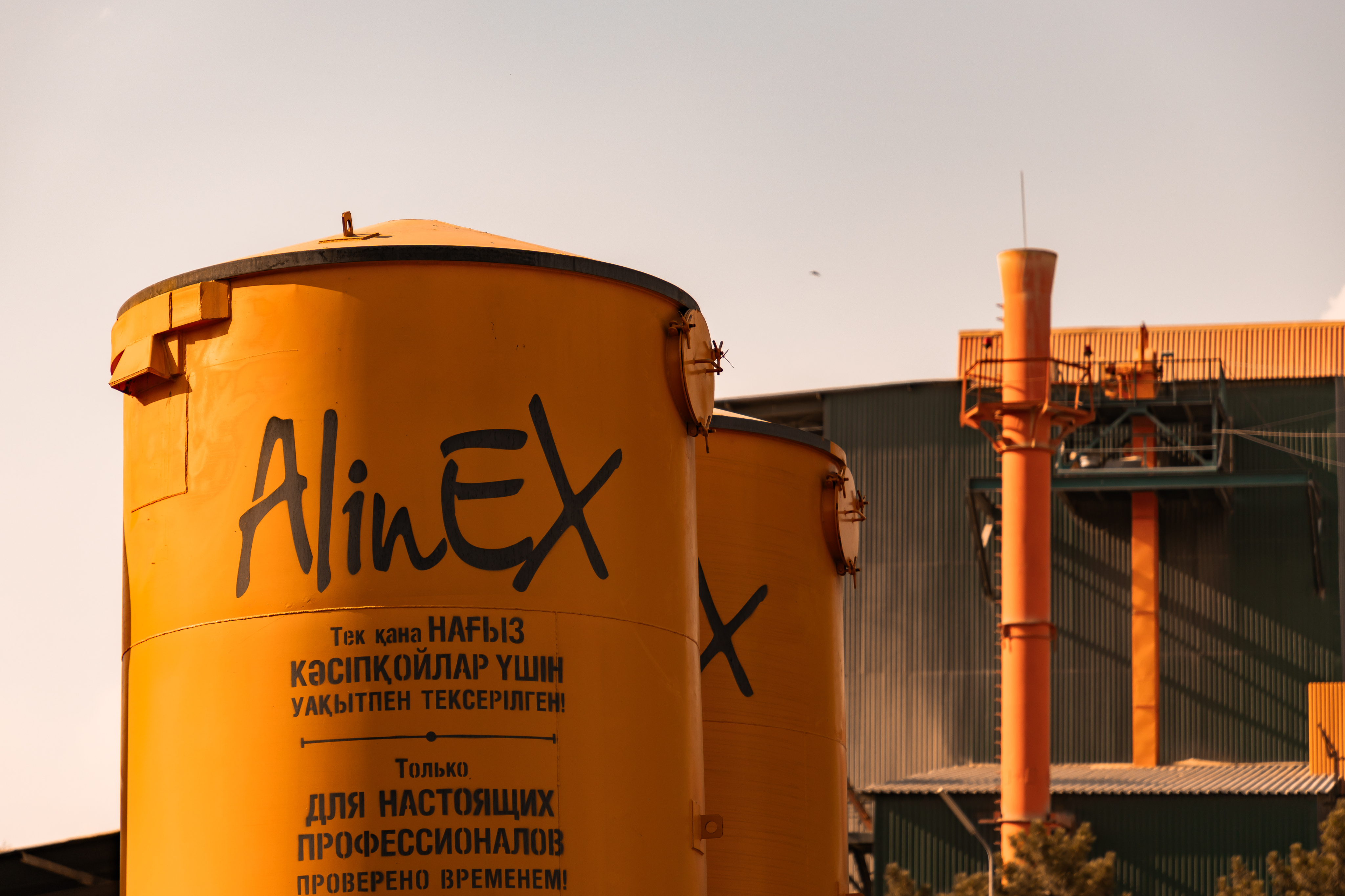 AlinEX Faqat haqiqiy professionallar uchun. Sinovdan o'tgan.